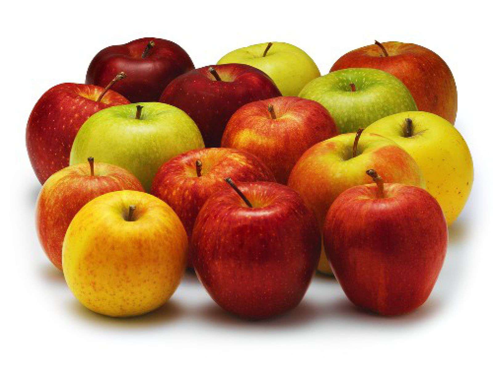 Avec les pommes Tentation 11 variétés de pommes maintenant en