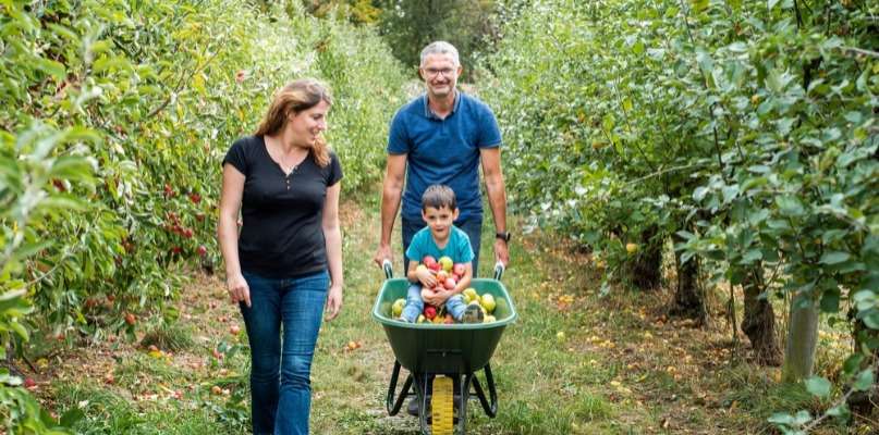 Entre été et automne ... On tombe dans les pommes !
