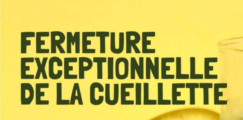 Chaleur
