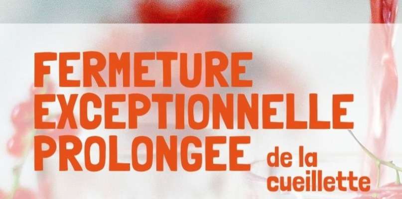 Chaleur